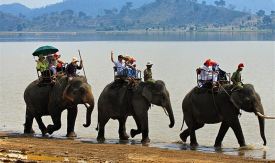 Tour Tây Nguyên (3N2Đ) Buôn Ma Thuộc - Bản Đôn