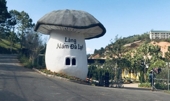 Tour Đà Lạt 4 Ngày 3 đêm