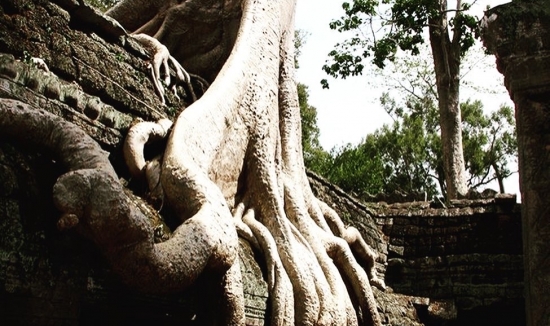 Tour Angkot Wat - Angkor thom - Chùa vàng, Chùa Bạc - Cung Điên Hoàng Gia - 4 ngày 3 đêm